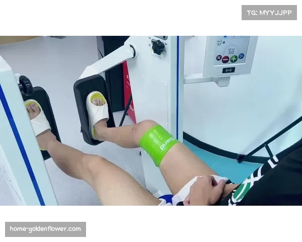 布伦特福德米兰博前交叉韧带手术长期康复计划启动